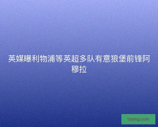 英媒曝利物浦等英超多队有意狼堡前锋阿穆拉