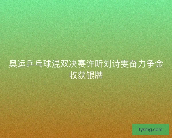 奥运乒乓球混双决赛许昕刘诗雯奋力争金收获银牌