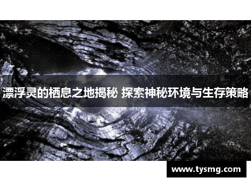 漂浮灵的栖息之地揭秘 探索神秘环境与生存策略